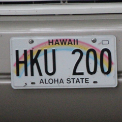 Hawai-Gäste