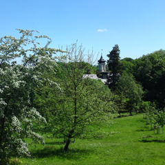 Blick auf Schloss Rabenstein von  der Wurzelschnke